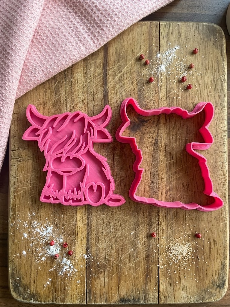 Highland Cow